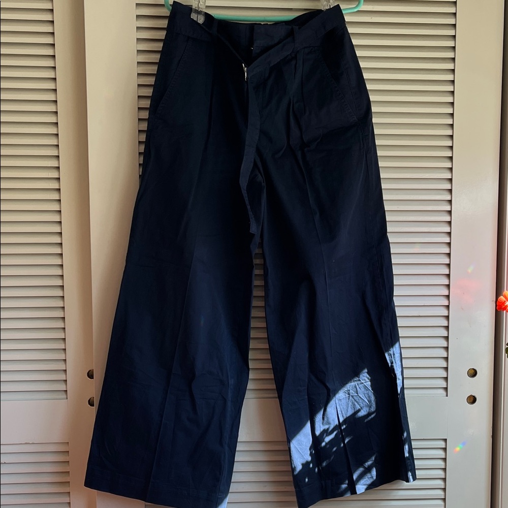 Everlane Wide Leg Navy Pants